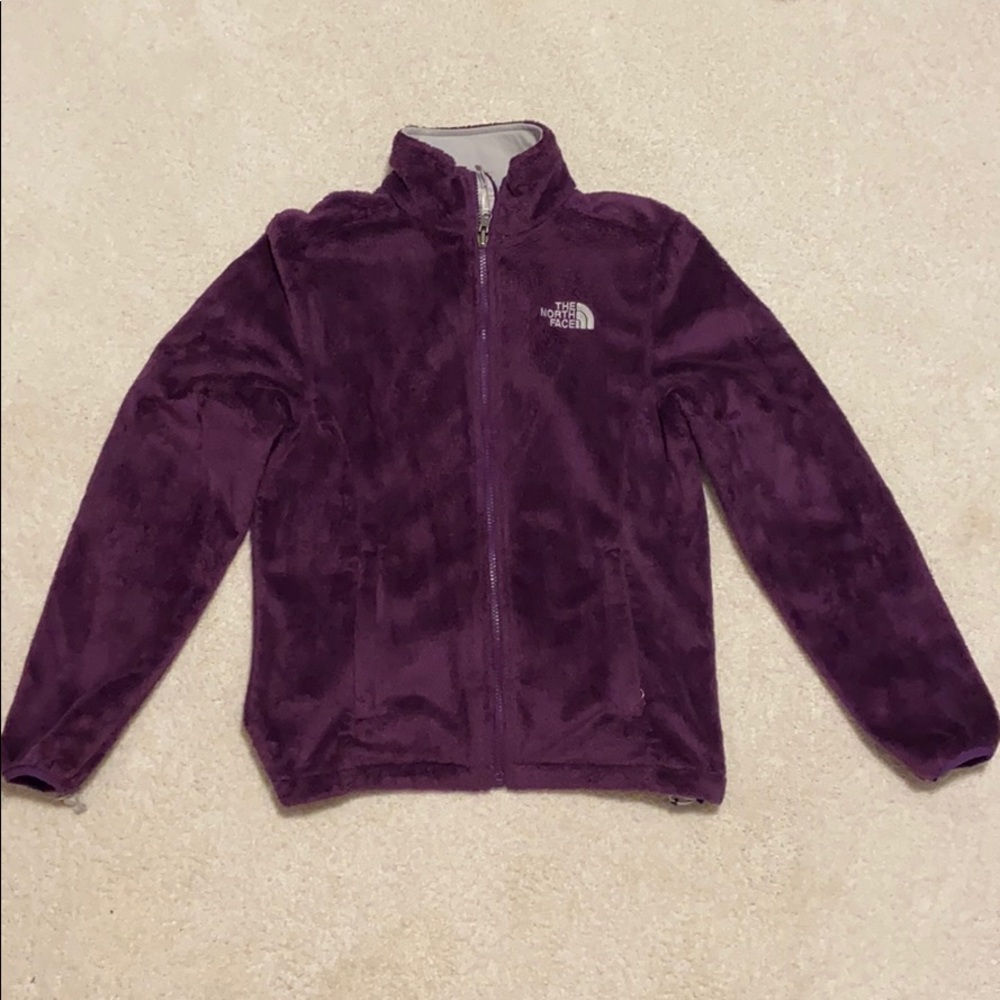 Purple furry north face jacket